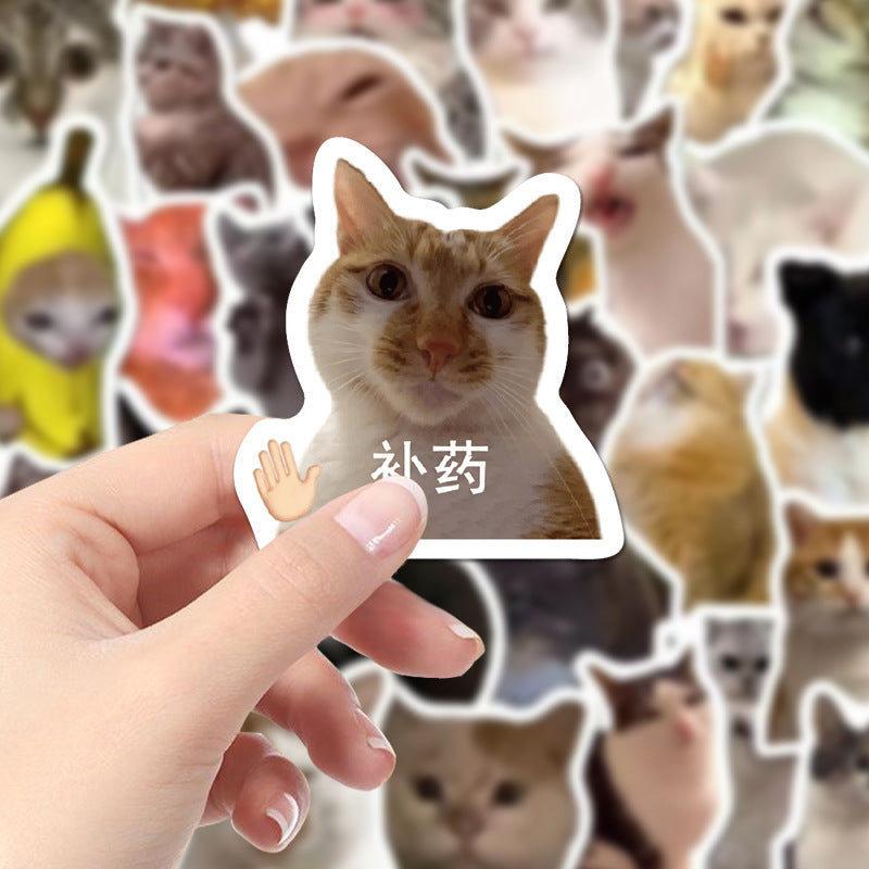 110 Cute Cat Stickers Funny