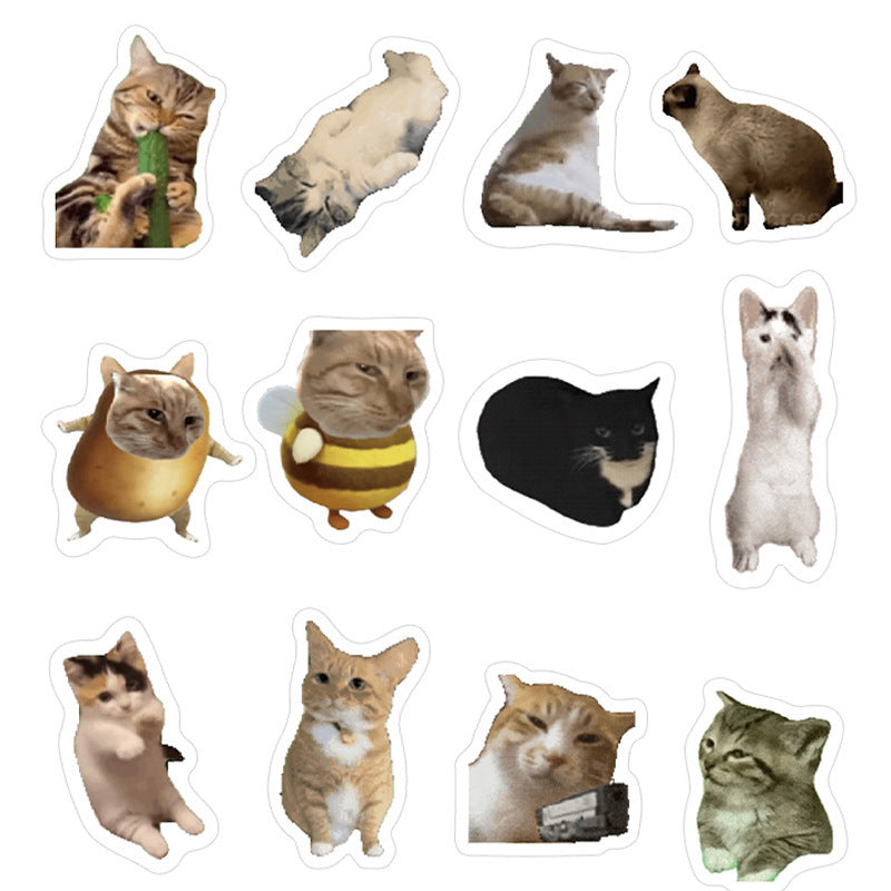 110 Cute Cat Stickers Funny