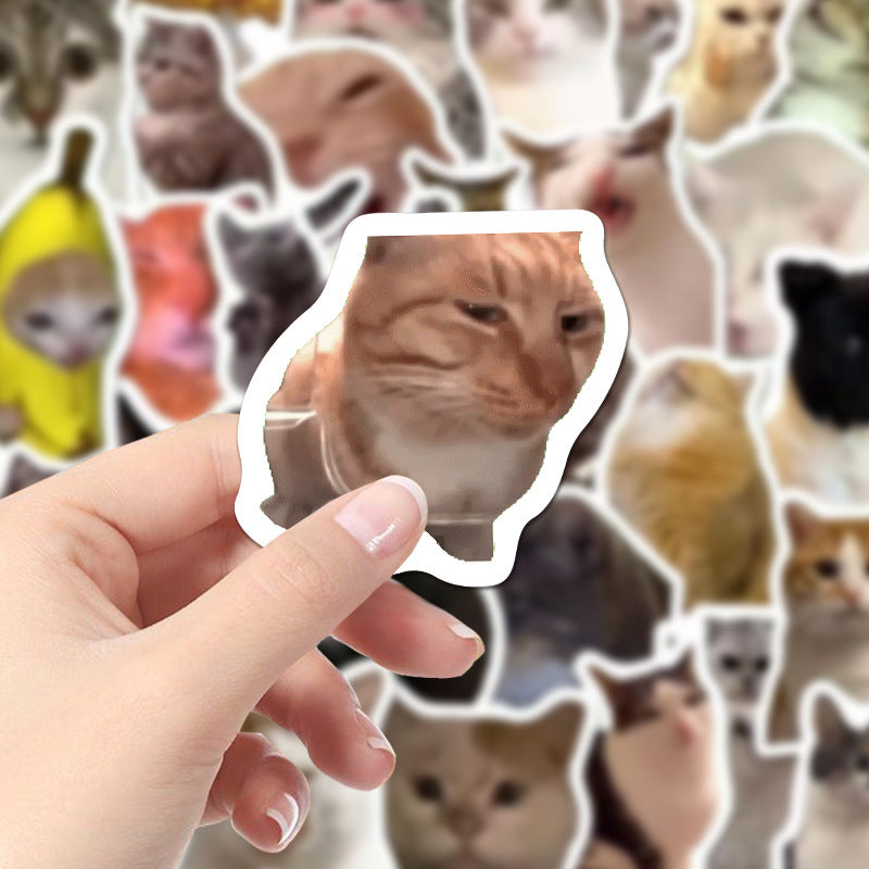 110 Cute Cat Stickers Funny